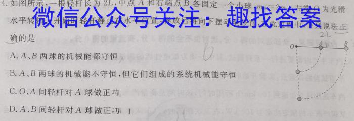 广东省2024年深圳市普通高中高二年级期末调研考试物理试卷答案