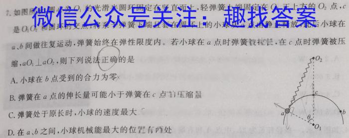 广东省龙岗区2023-2024学年第一学期高三期末质量监测l物理