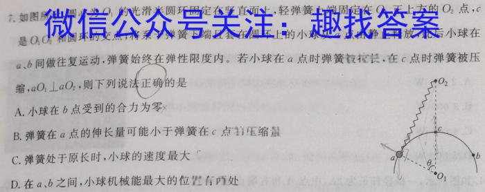 九师联盟·2023-2024学年度高二年级下学期2月开学考试物理试卷答案