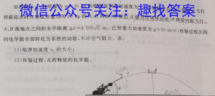 河南省2023-2024学年高一下学期第三次月考(24-544A)物理试题答案