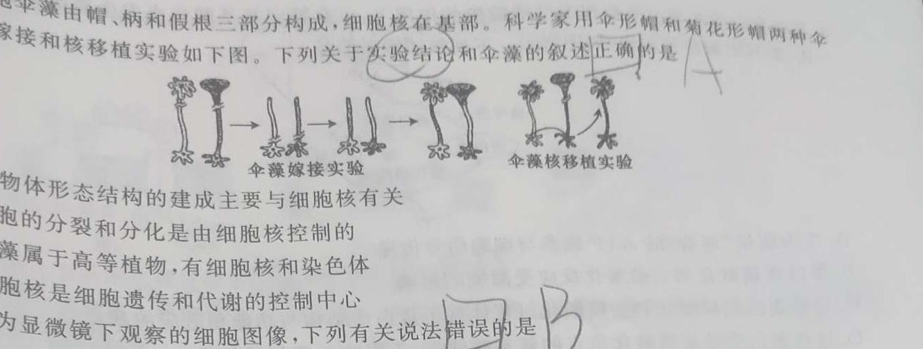 辽宁省名校联盟2024年高一3月份联合考试生物学部分