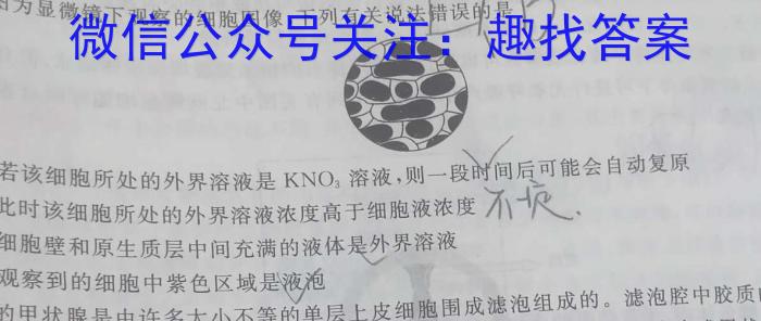 2024届衡水金卷先享题调研卷(B)(3)生物学试题答案