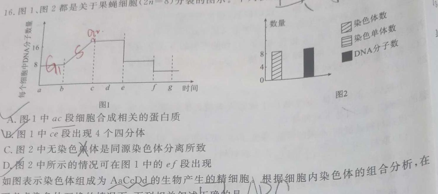 南通金卷2024新高考全真模拟卷(六)生物学部分