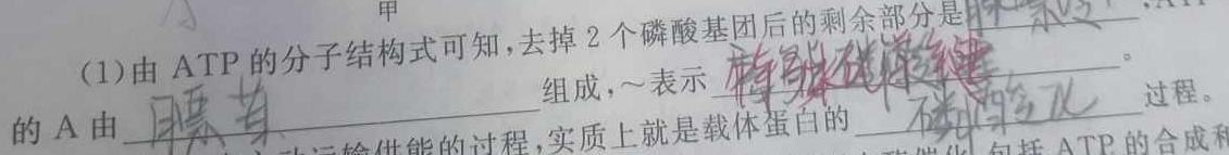 陕西省2023-2024高二模拟测试卷(△)生物学部分