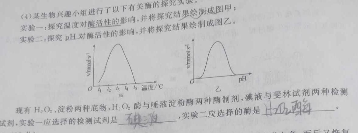 陕西省建大附中初2026届八年级第一学期开学考试生物