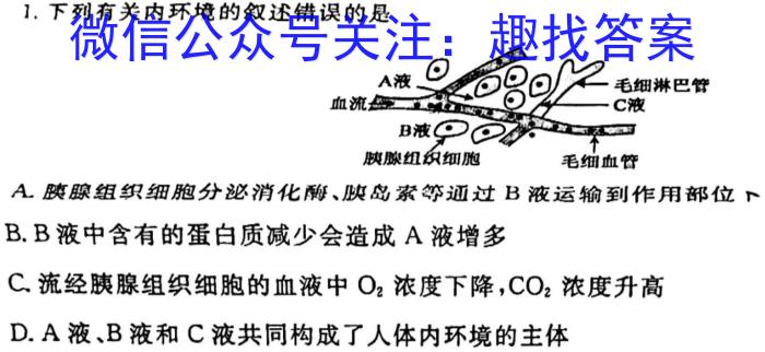 2024届河南省九年级模拟测评卷(二)生物学试题答案