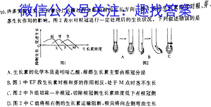 湖北省七市2024届高三3月联考生物学试题答案