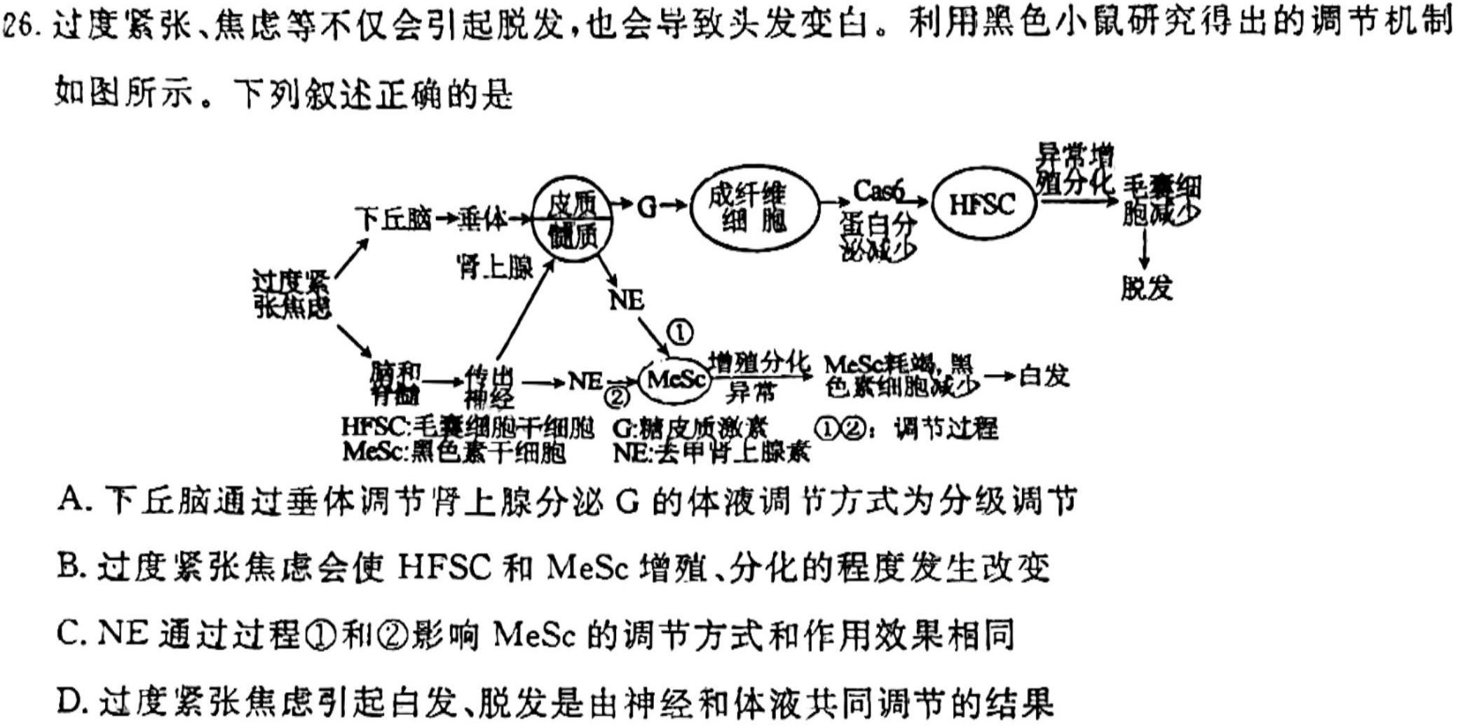 2024届高考冲刺卷[页脚:高考冲刺卷](一)生物学部分