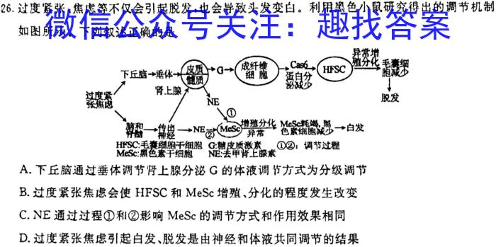 天一大联考安徽省普通高中高一春季阶段性检测2024.02生物学试题答案