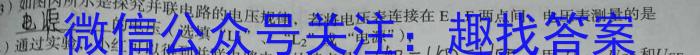 2024年河北省初中毕业生升学文化课模拟考试(M2)物理试题答案