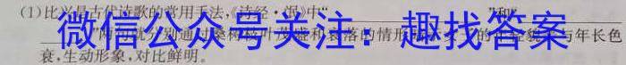 江西省2023-2024学年八年级第四次阶段适应性评估语文