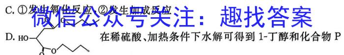 q云南省2023级高一年级教学测评月考卷(四)化学