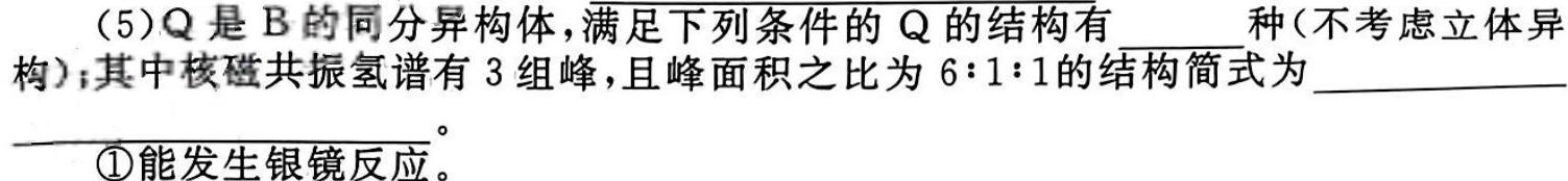 1河南省金科·新未来2023年秋季学期高一年级12月质量检测化学试卷答案