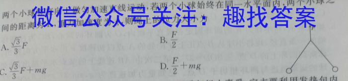 陕西省商洛市2023-2024学年度第一学期七年级期末调研B物理试卷答案