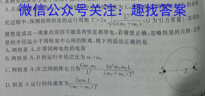 华中师大一附中2024年高三五月调考物理试题答案