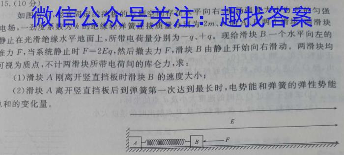 河北省2023-2024学年八年级第二学期第一次学情评估（标题加粗）物理试卷答案