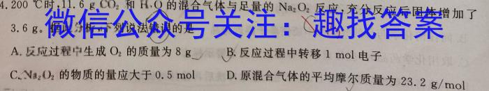 河北省2023-2024学年度九年级学业水平评估化学