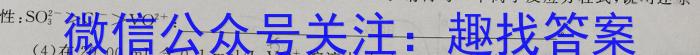 q2024年河南省八年级中招导航模拟试卷(六)6化学