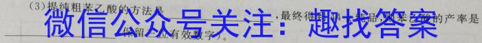 3安徽省2024年第二学期九年级4月考试化学试题