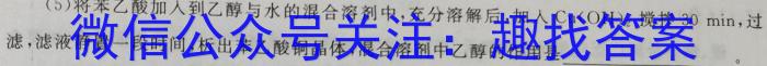 河南省三门峡市某校2024年七年级新生学情检测数学