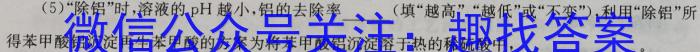 安徽省利辛县2023-2024学年第二学期九年级开学考试化学