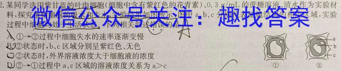 湖北省2024年春"荆、荆、襄、宜四地七校考试联盟"高一期中联考生物学试题答案