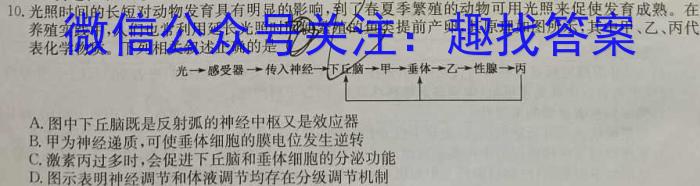 江西省2024年初中学业水平考试终极一考卷数学