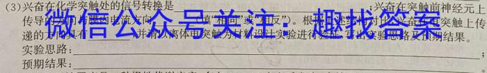 2024年重庆市七校联盟 高三下学期第一学月联考英语