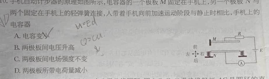 陕西省2023-2024学年度高一第一学期阶段性学习效果评估物理试题.