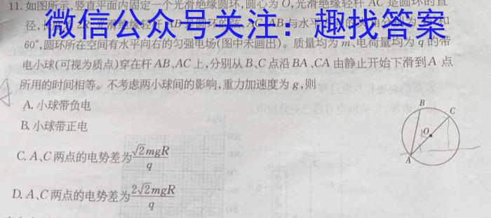 2024年河北省初中毕业生升学文化课模拟测评（六）物理