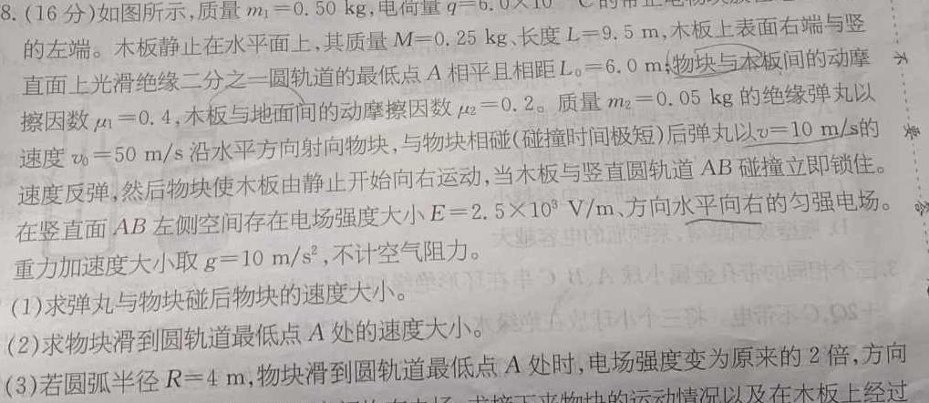 湖南师大附属滨江学校2024-2025学年度第一学期九年级入学测试(物理)试卷答案