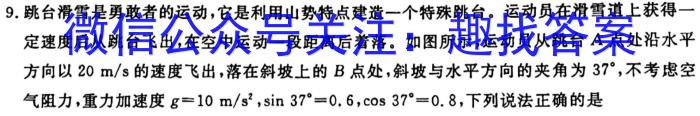 2025届汕头市高三年级8月开学考物理试卷答案