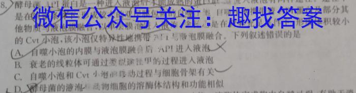 安徽省安庆市潜山市2023-2024学年度第一学期八年级期末教学质量检测（期末测试卷）数学