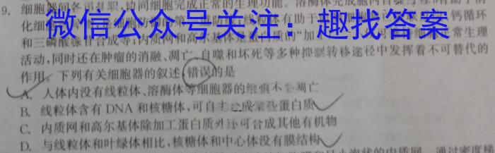 2024年山西省初中学业水平考试适应性测试（三）数学