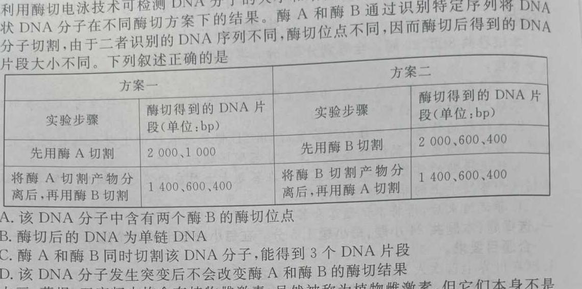 日照市2022级高二下学期期末校际联合考试(2024.07)试题(数学)