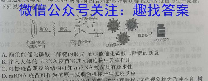 沧衡学校联盟高二年级2023-2024学年下学期期中考试生物学试题答案