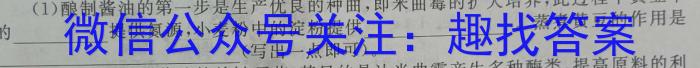 2024届云南省高一期末模拟考试卷(24-272A)数学