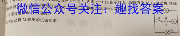 安徽省金安24届高三年级考前适应性考试(24-452C)物理`