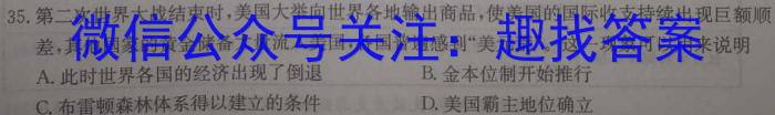 安徽省六安市某校2024届初三阶段性目标检测（五）历史