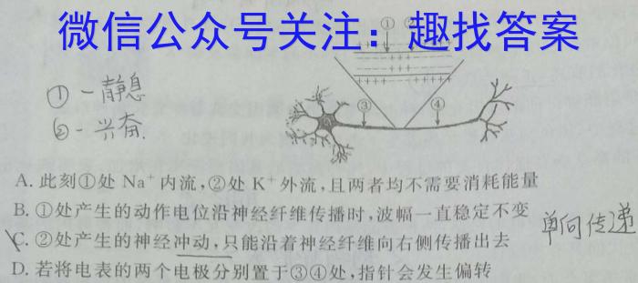 山西省2024年中考模拟训练（二）生物学试题答案