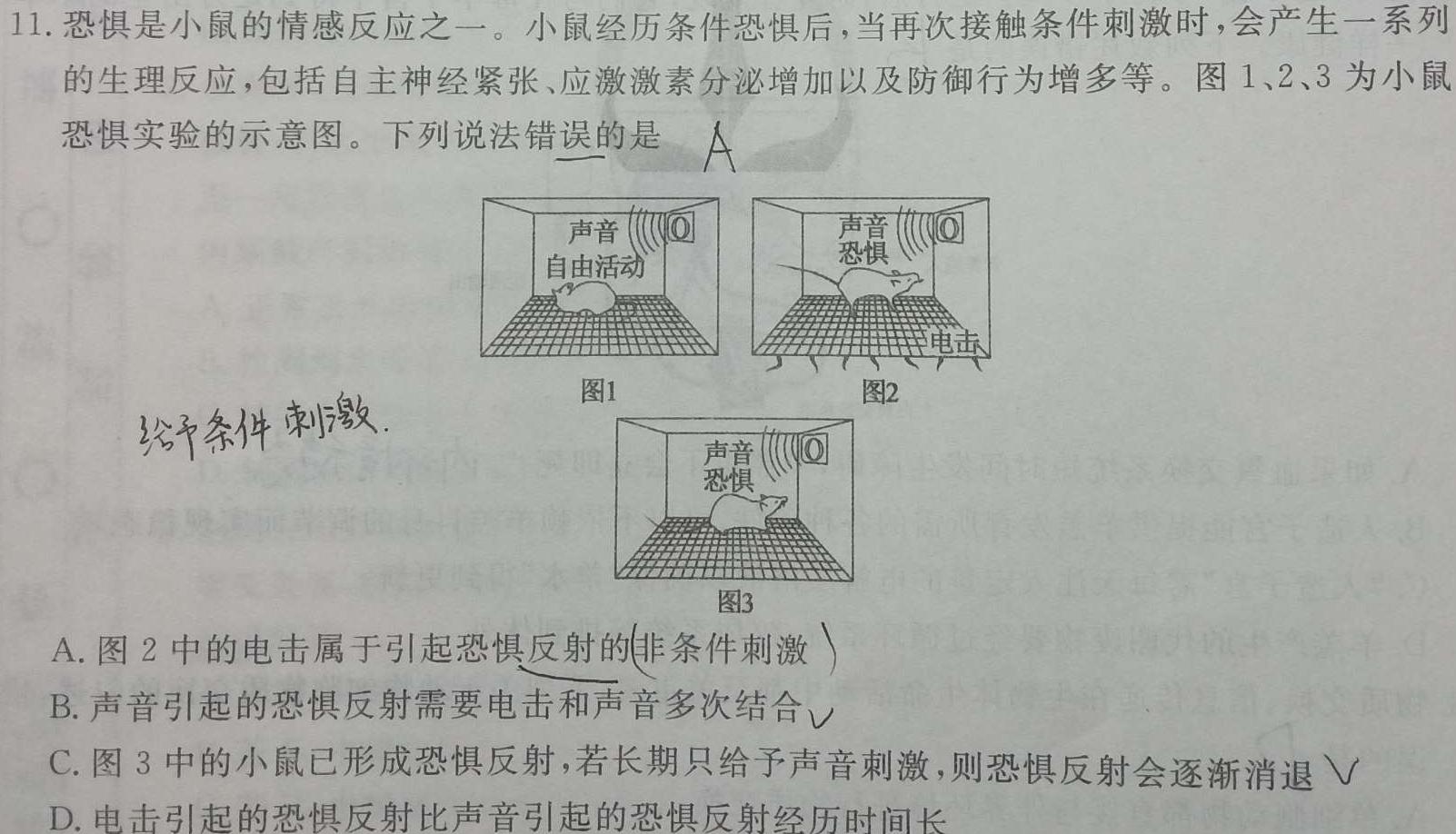 浙江省L16联盟2024年高三返校适应性测试生物学