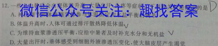 安徽省2024年九年级教学质量检测试题英语