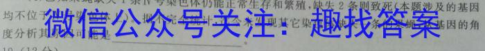 万唯中考·2024年山西省初中学业水平考试（会考黑卷）数学h