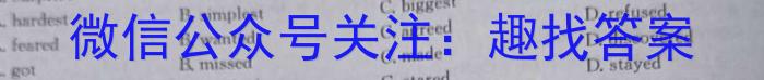 2024届名校教研联盟高三5月联考英语