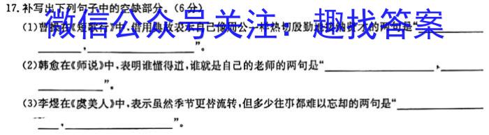 安徽省示范高中培优联盟2024年春季联赛(高一)语文