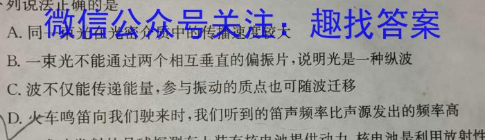 2024年湖南省普通高中学业水平合格性考试(压轴卷)物理试题答案