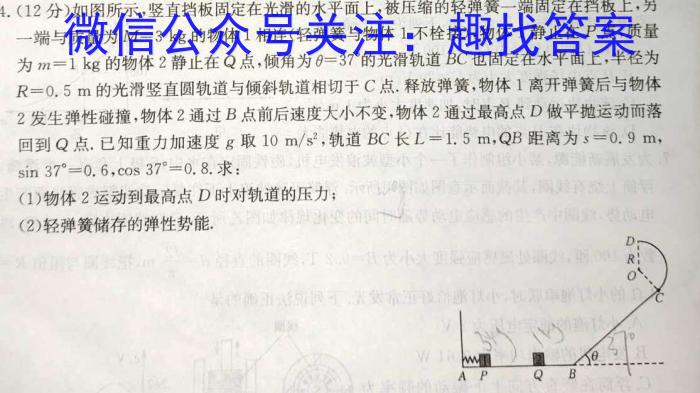 河北省沧州市普通高中2024届高三年级教学质量监测f物理