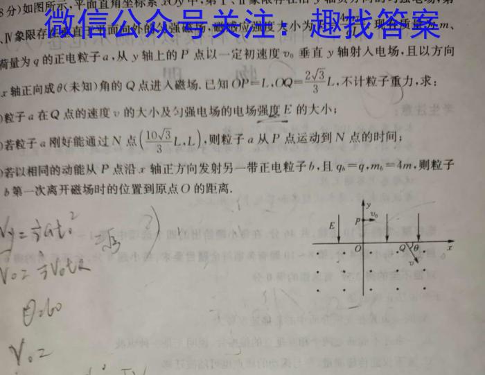 百师联盟 2024届高三信息押题卷(一)新高考卷物理试卷答案