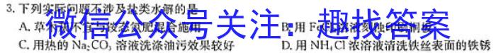 2024年毕节市高一年级期末联考化学