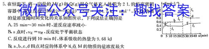 q安徽省安师联盟2024年中考权威预测模拟试卷（五）化学